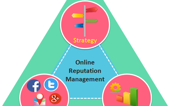 Website Development Specialist