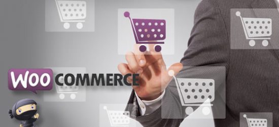 WooCommerce website development