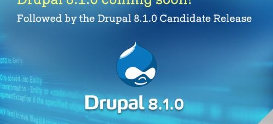 Outsourcing Drupal India