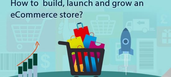 online eCommerce store development