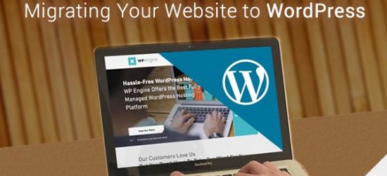 Wordpress Development Experts