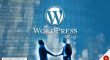 Wordpress Development Specialist