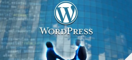 Wordpress Development Specialist