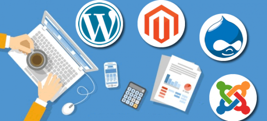 Know About the Top 4 CMS Tools for Web Development