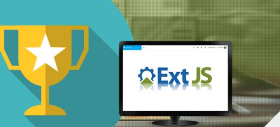 Ext JS Development Agency