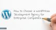 How to Choose a WordPress Development Agency for Enterprise Companies