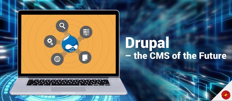 Drupal Development Company